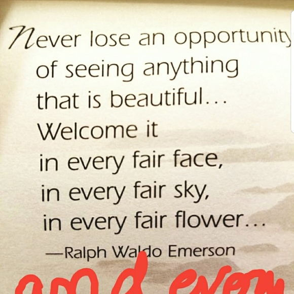 Meet your Posher, SWANKYVIDZ - Picture 3 of 3